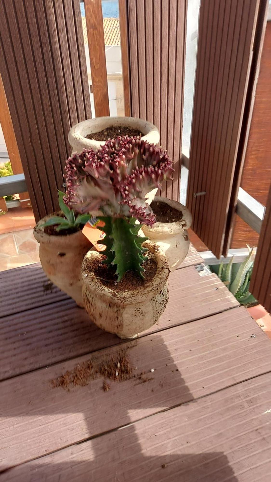 Casavistamare Villa Augusta Dış mekan fotoğraf